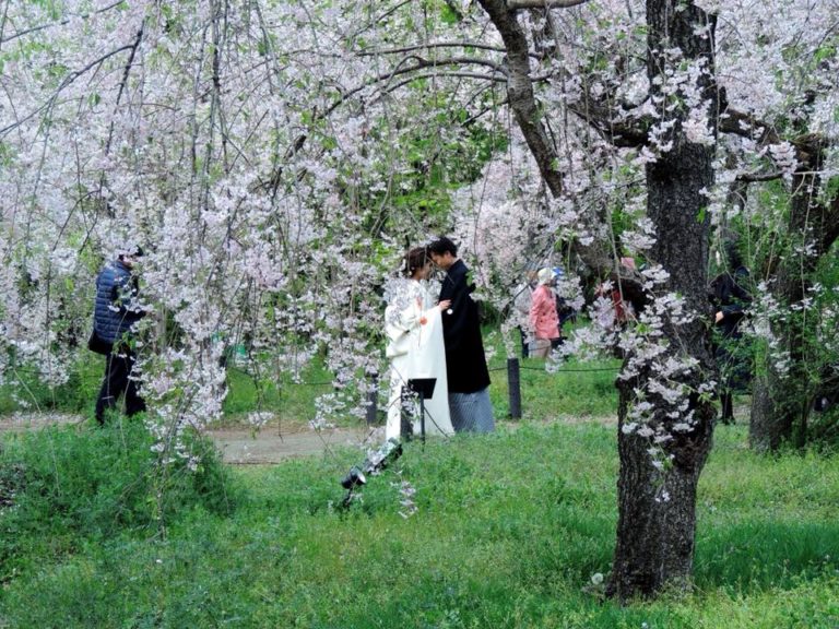 30624605_1844440032253466_8285998817526939648_n