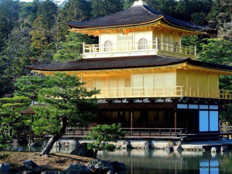 29469014_1819157741448362_1321688048320118784_n