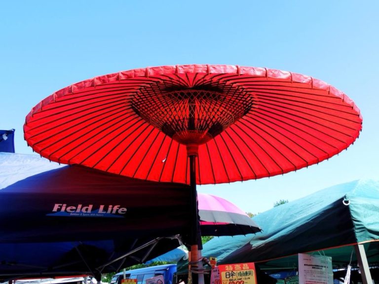 31416716_1861181237246012_4480349350194577408_n