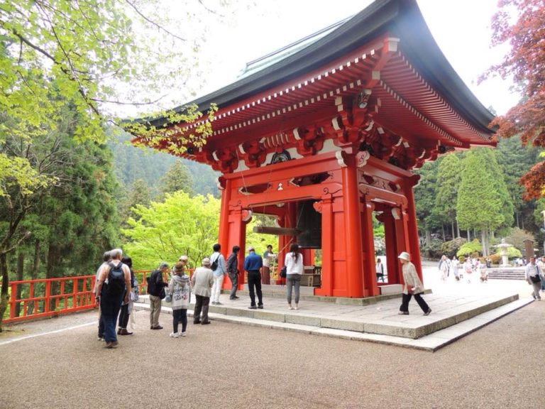 31960508_1875716032459199_2951848692312702976_n