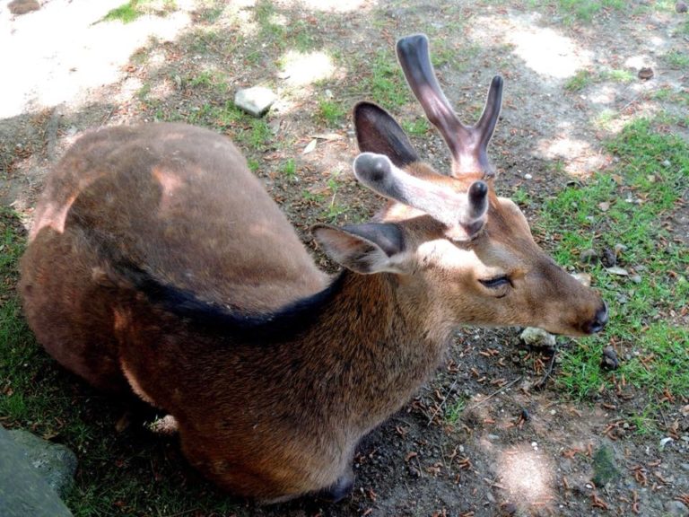 32187377_1880274932003309_900790375822655488_n