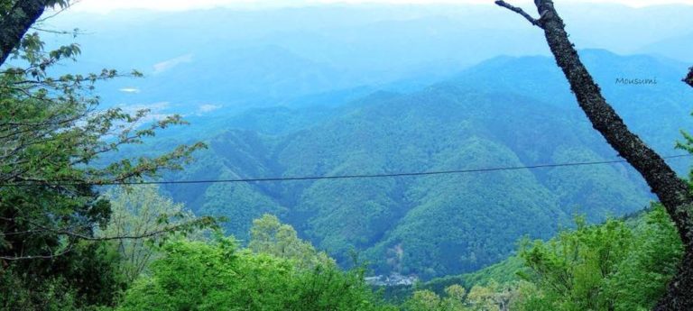 32325474_1894762863888566_1951746346050387968_n