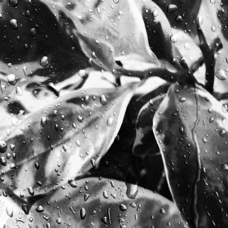 33586965_1900179733346162_318960845679755264_n