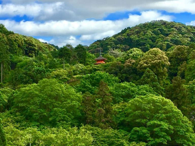 33404517_1897756843588451_2438902105361088512_n