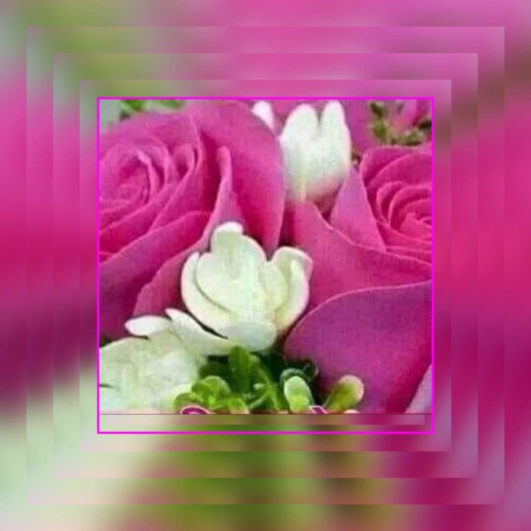 36874246_1964033083627493_2029053987851862016_n