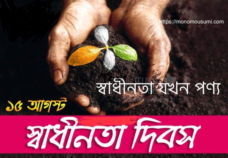 39091792_2215144245386789_2411928976302800896_n