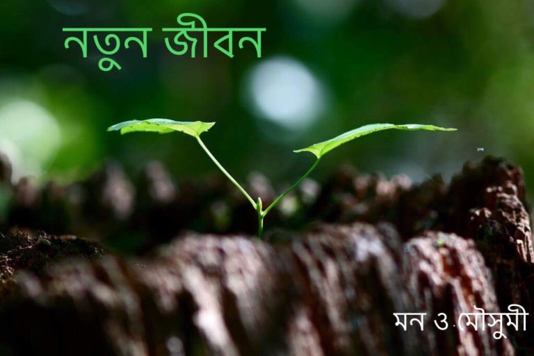 39105814_220559561944137_2726129297411538944_n