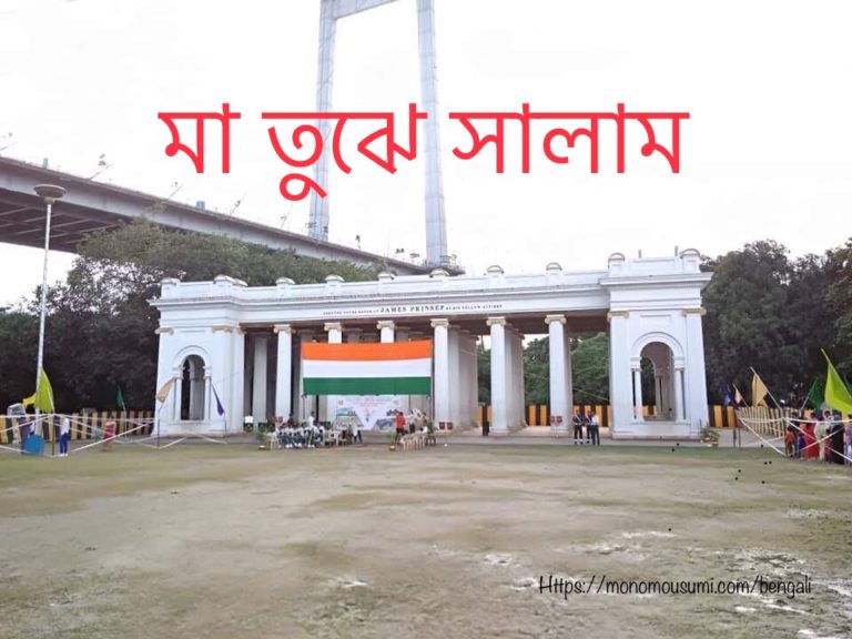 39249537_446241795871358_3972671197761503232_n