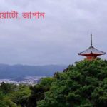 41843158_543333346096658_980858436054941696_n