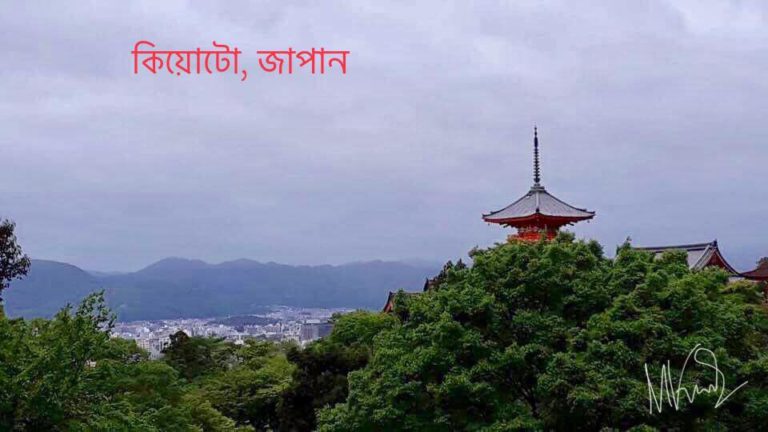 41843158_543333346096658_980858436054941696_n