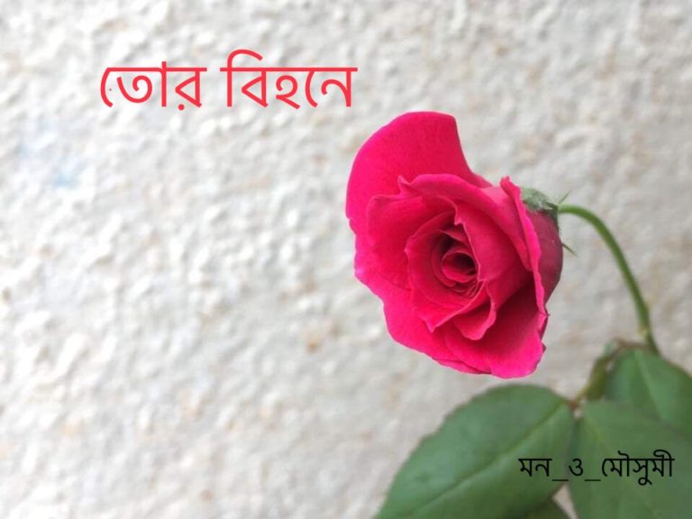 44728468_1788218837957631_297039324011036672_n