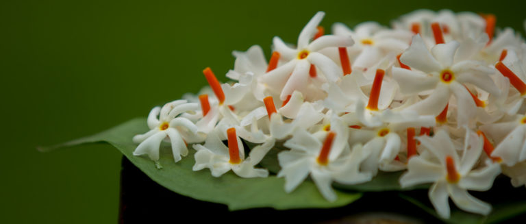 9255171205_baf11ded05_b