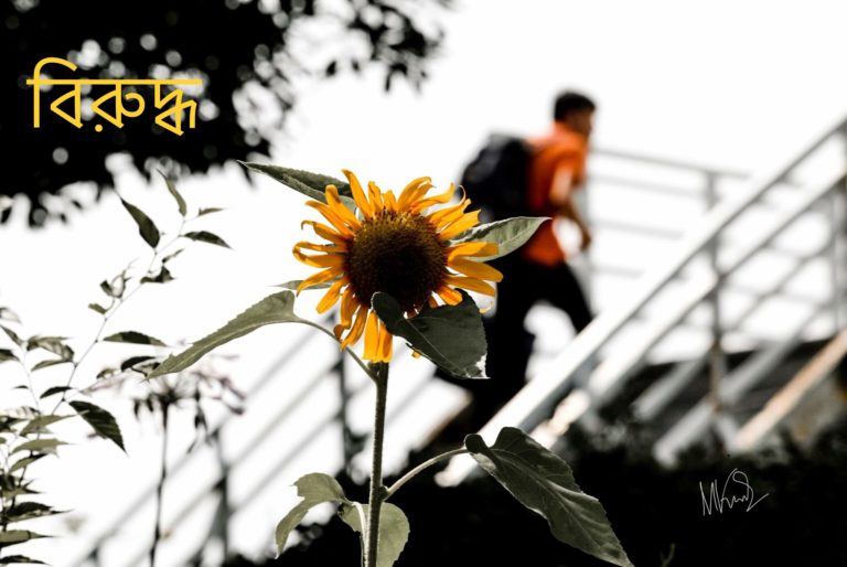 45179581_751879175151703_317508047222079488_n