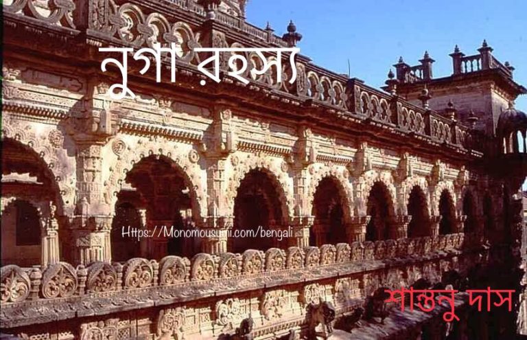 51178876_1167997166712155_2240369286507921408_n