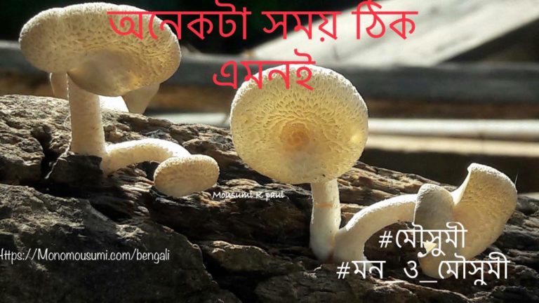 51368793_454090361794856_1327750751140708352_n