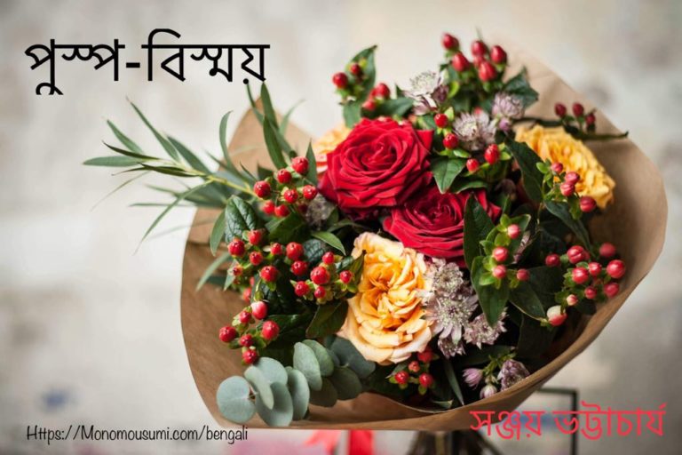 56487466_527275017679453_6032147985159159808_n