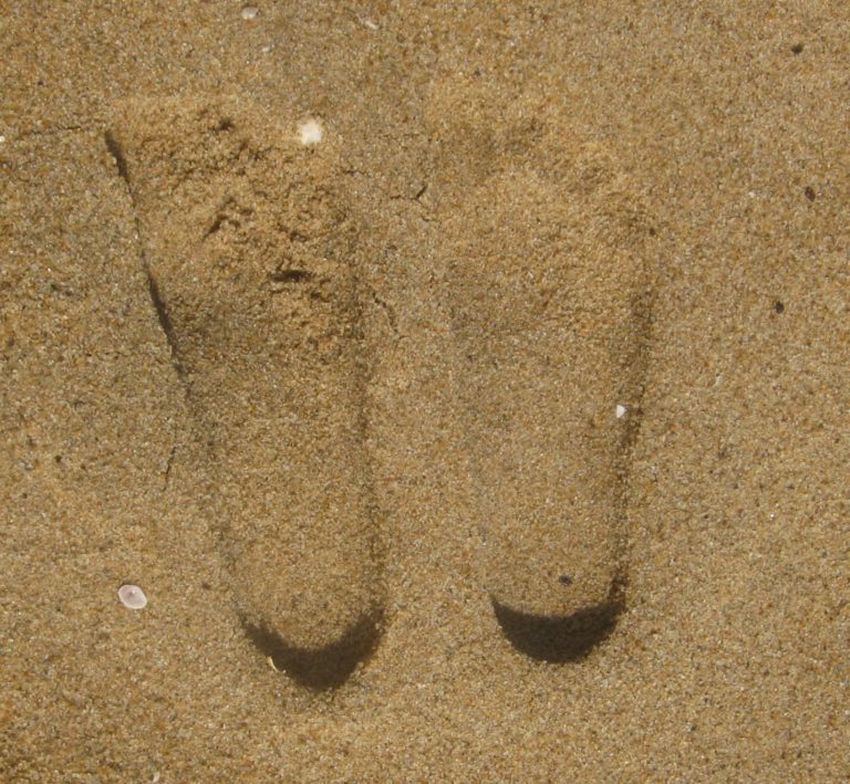 258503_219438094753676_1622064_o