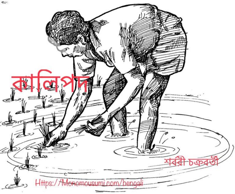 65822313_2363676927251639_2661227475371032576_n