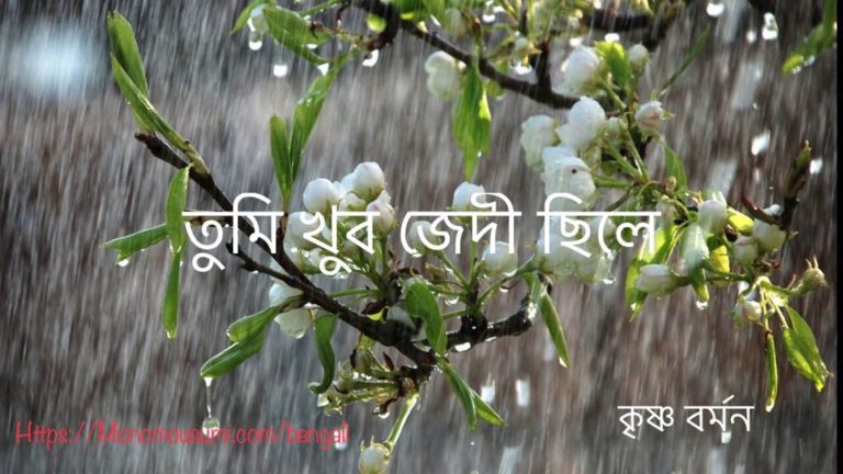 66716782_340568813549712_2223266310123421696_n