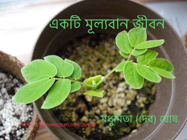 67301726_2334876593445934_7233278938590478336_n