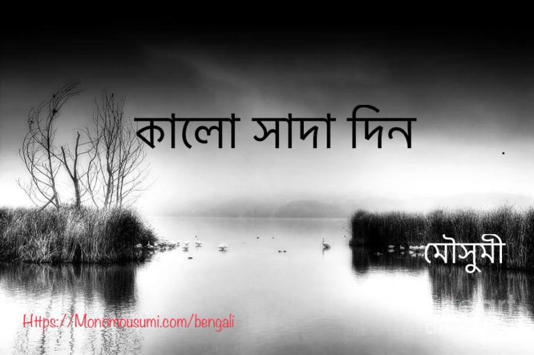 70392648_2571435462908236_3802076015887384576_n