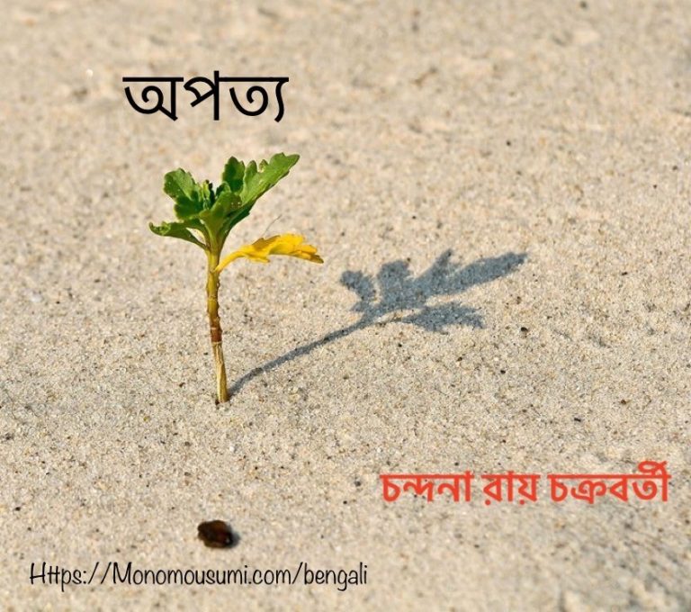 95438268_163473221731490_4149800171649105920_n