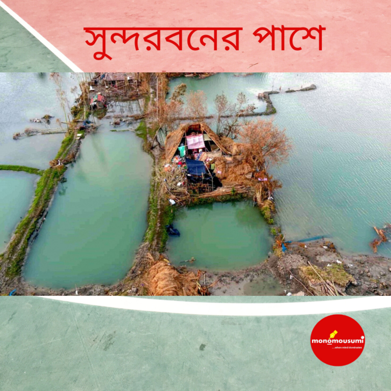 সুন্দরবনের পাশে