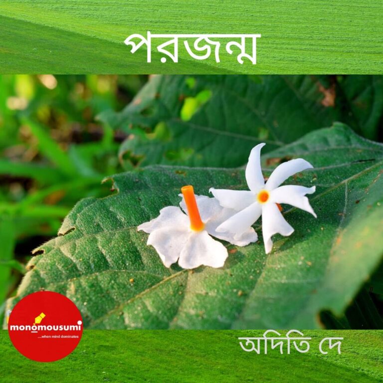 নোঙর নেই (1)
