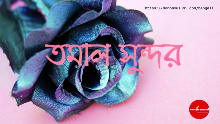 Monomousumi Bengali Contest Quarterly - 2021-07-01T183522.502