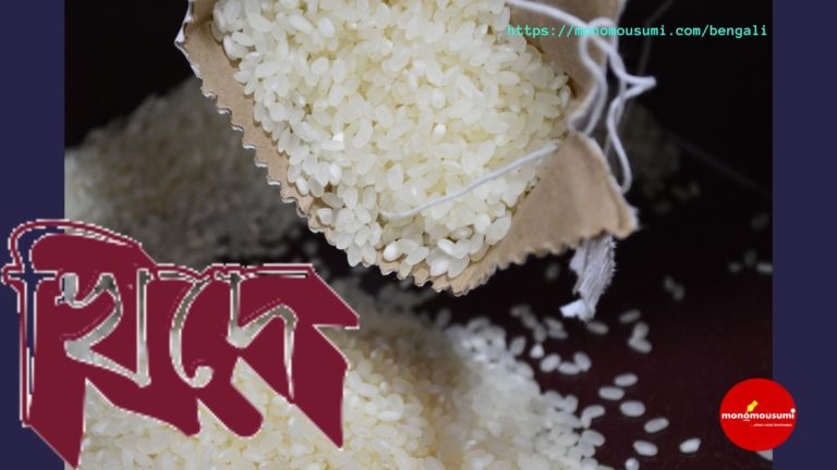 Monomousumi Bengali Contest Quarterly - 2021-07-04T165310.067