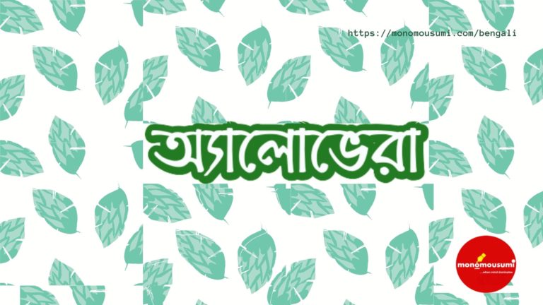 Monomousumi Bengali Contest Quarterly (9)