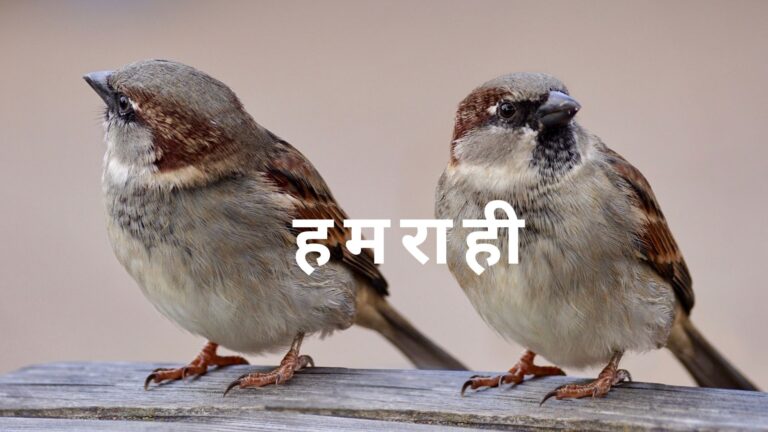 हमराही