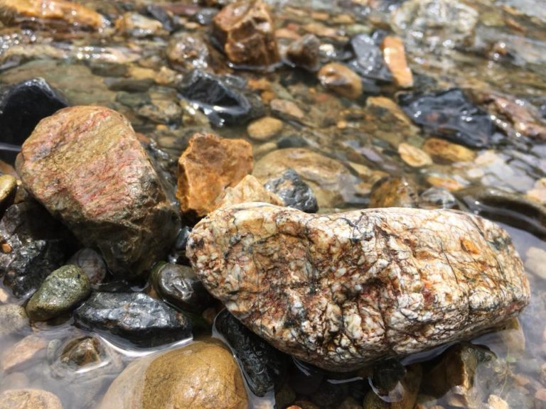 36907539_1965338886830246_1074931611545370624_n