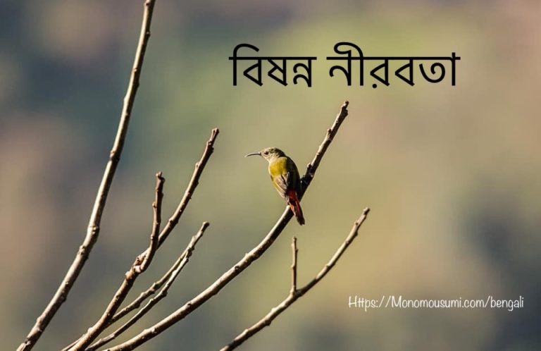 45360647_2294147330627479_2466093380103307264_n