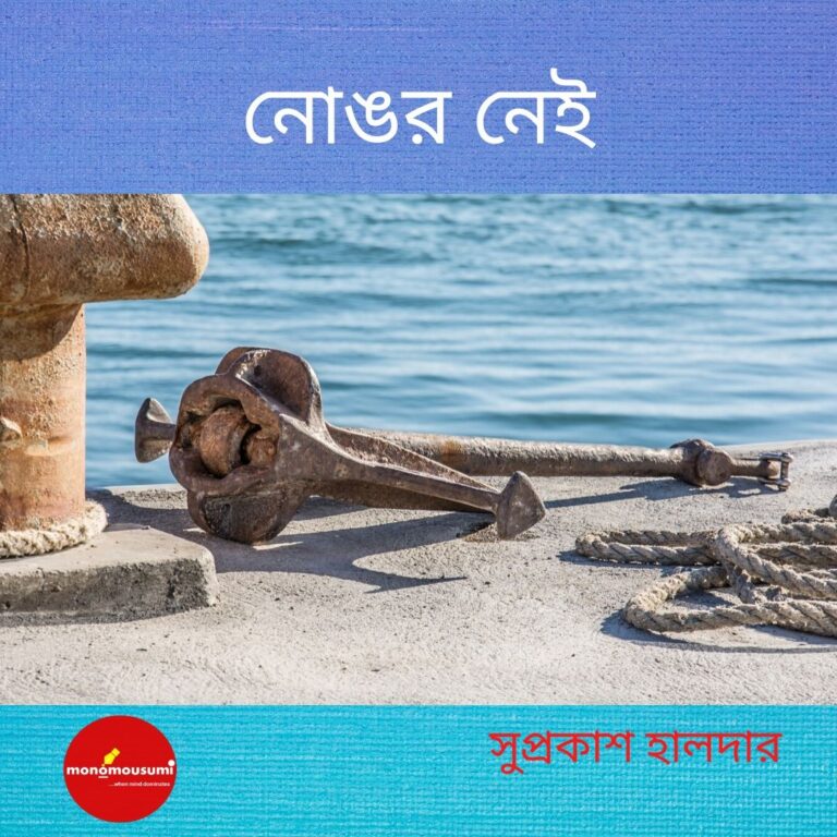 নোঙর নেই