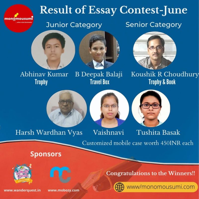 international essay contest