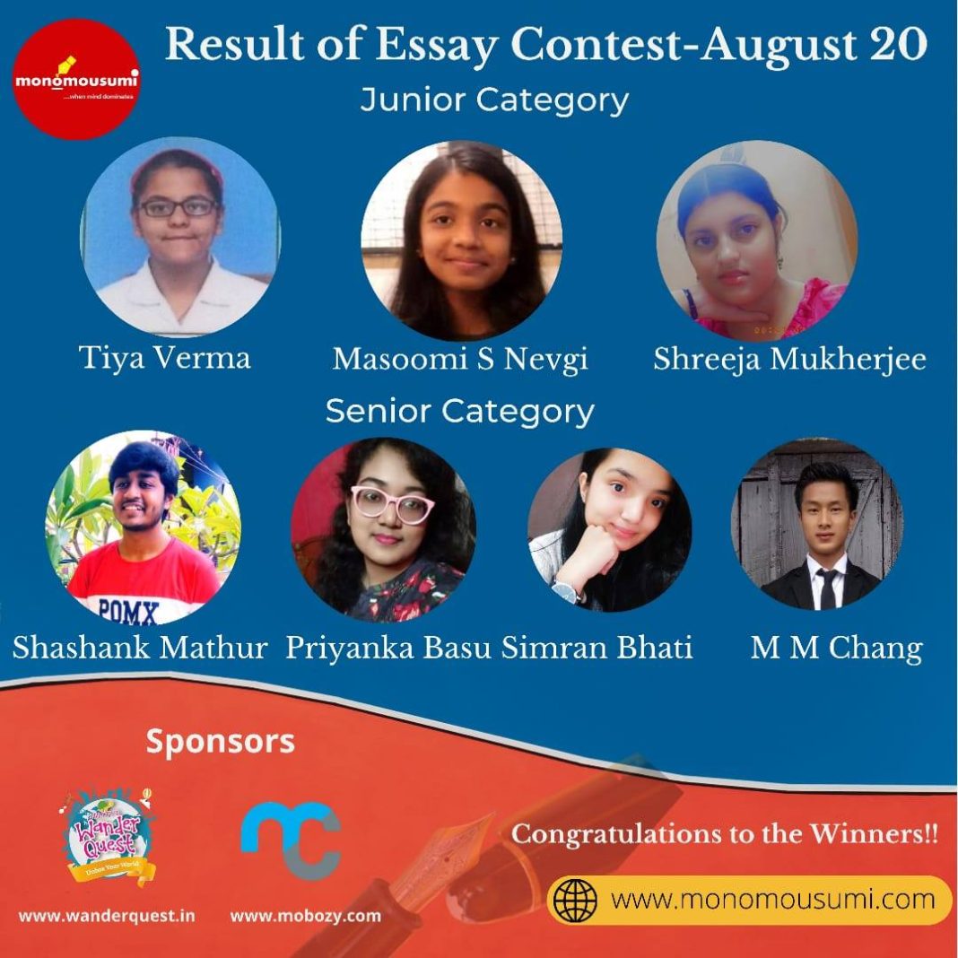 yip international essay contest