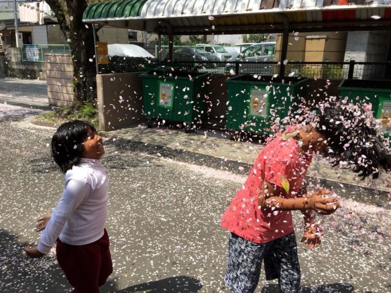 30128060_1838759536154849_6998727411596525568_n