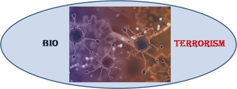 36380492_1948586421838826_8909806907049377792_n