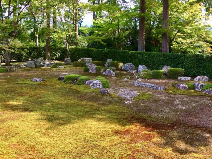 Gardener Japanese garden