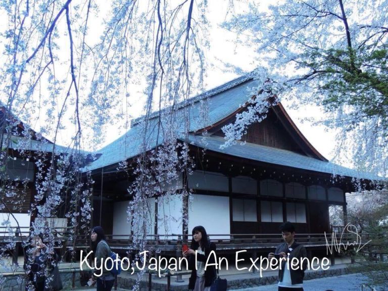 42846867_173200940262646_5769650480359669760_n