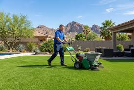 Artificial Turf Cleaning Phoenix
