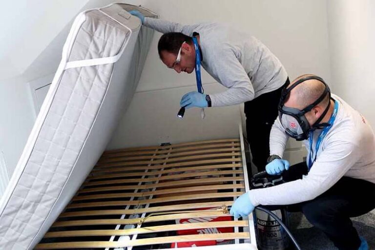 Bed Bug Infestations