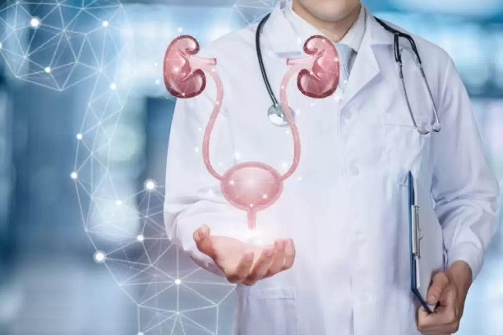 Best Urologist in Dubai: A Comprehensive Guide to Expert Urological Care