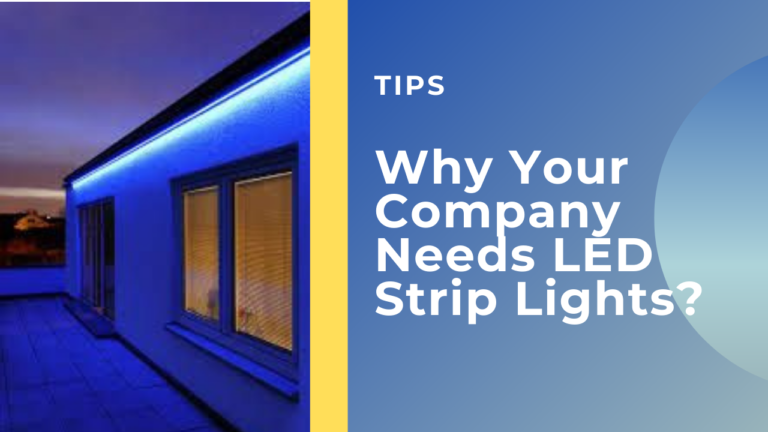 Blue and White Calm Education YouTube Thumbnail