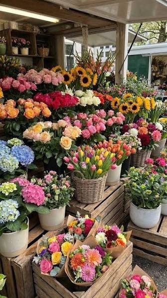 Cape Town Flower Delivery