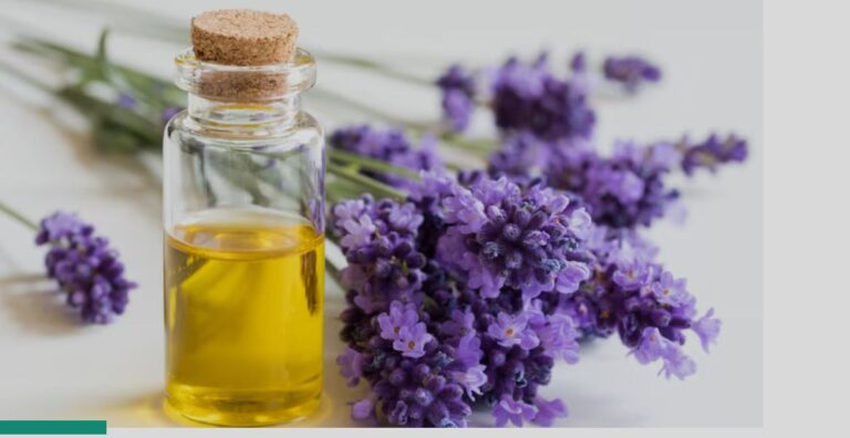 मनोरंजन