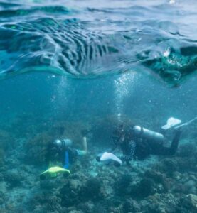 Turkish Rebellion Eco-Anxiety