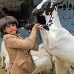 Eid-ul-Adha