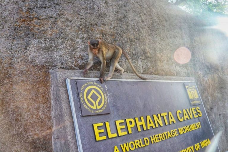 Elephanta cave